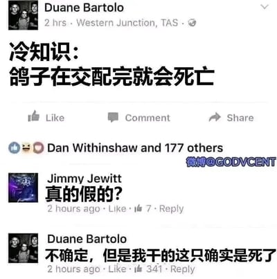 这是一张国外社交平台的截图，用户Duane Bartolo发布了一条所谓的冷知识“鸽子在交配完就会死亡”，其他用户Jimmy Jewitt看到后对此表示质疑，询问“真的假的？”，Duane Bartolo随后回复称“不确定，但是我干的这只确实是死了”，形成了一个荒诞搞笑的乌龙：原来他是自己伤害了一只鸽子，却误以为这是交配后的自然死亡，用一本正经的回复制造出强烈的反差笑点。