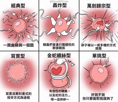 这是一张六格连环漫画，以幽默夸张的方式描绘了六种不同类型的精子受精场景。每格都有一个粉色的卵子作为主体，搭配不同形态和策略的精子。
- 经典型：展示一个圆形卵子周围有波浪状曲线环绕
- 轰炸型：卵子周围有多个精子进行团体围攻
- 万剑归宗型：卵子被多种方式