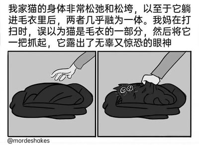 这是一张两格黑白漫画，描绘了一只身体非常松弛的黑猫躺进毛衣后与毛衣融为一体的搞笑场景。第一格中一只手正伸向看起来像一堆黑色织物的物体，第二格中手抓起织物时，露出了黑猫惊恐睁大的眼睛，展现了猫咪被误认为毛衣一部分时的无辜又惊恐的表情。