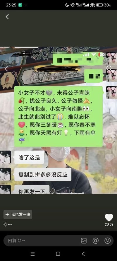 这是一张网络流传的聊天记录截图，截图中女方使用带有古风措辞的伤感文案发送分手消息，内容表达了自己未能获得对方喜爱、决定就此告别并为对方送上祝福的含义，还搭配了多个对应情绪的表情符号。但男方完全没有理解这段文字是分手声明，反而将其误认为是拼多多的助力兑换码，先后询问是什么内容、表示复制到拼多多没有反应，还要求女方再发一遍，二者的认知偏差形成了强烈的反差搞笑效果。