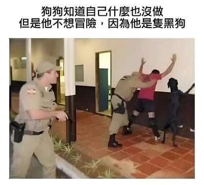 图片展示了一个室内外过渡的场景，两名穿着制服的警察正在执法：一名警察持枪戒备，另一名警察将一名穿红衬衫的男子按在墙上，男子双手高举。画面右侧有一只黑色的狗平静地站在一旁观看。图片上方配有文字：'狗狗知道自己什么也没做但是他不想冒险，因为他是隻黑狗'。

这张图片通过黑狗的视角，以隐喻的方式评论了社会中存在的偏见问题，尤其是针对特定群体的不公平对待现象。