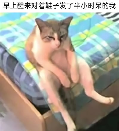 这张 meme 展示了一只表情呆滞的猫坐在床上，配上文字'早上醒来对着鞋子发了半小时呆的我'，幽默地表现了人们清晨起床后精神恍惚、陷入发呆状态的日常场景，容易引发共鸣。