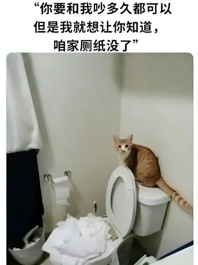 图片上方配有文字：“你要和我吵多久都可以 但是我就想让你知道，咱家厕纸没了”。下方画面中，一只橘猫正坐在马桶盖上，马桶旁的厕纸架为空，地面散落着一堆纸巾，营造出一种在争吵中突然面临“厕纸告急”的尴尬又搞笑场景。通过拟人化手法，将猫咪塑造成在争执中不得不优先解决实际问题的角色，幽默展现生活中的小插曲。