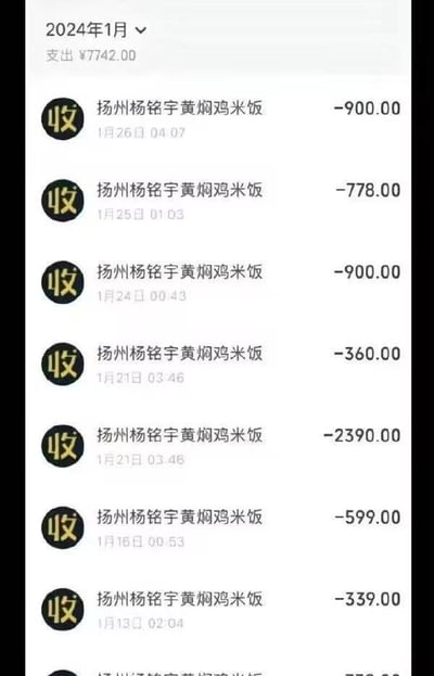 这是一张移动支付APP的2024年1月支出记录截图，当月总支出为7742元。截图中显示了多笔收款方为「扬州杨铭宇黄焖鸡米饭」的大额支出，金额从339元到2390元不等，交易时间均为凌晨0点到4点左右，完全偏离常规餐饮消费的时段，且单笔金额远超普通黄焖鸡米饭的餐费，显然并非实际的餐饮消费，更像是以该商户为收款方进行的转账走账操作，这种反常的账单记录具有调侃性。