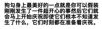 这是一张纯文字图片，内容描述了狗勾身上最美好的特质——即使不知道发生了什么开心事，只要你假装发生了，它们就会立刻开始庆祝，时刻准备着分享快乐。文字采用黑色粗体，背景为纯白色，整体简洁明了，充满对狗狗天真烂漫性格的喜爱。