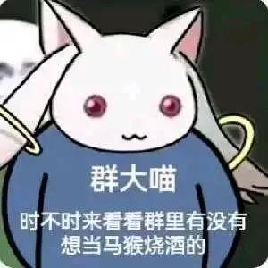 这是一张卡通风格的趣味梗图，主体是一只穿着蓝色上衣的白色拟人化猫咪，它双手放在头上，眼神懵懂，做出张望的姿态。图中配有文字：“群大喵”和“时不时来看看群里有没有想当马猴烧酒的”。
其中“马猴烧酒”是“魔法少女”的谐音梗，用软萌的猫咪形象搭配玩梗文字，营造出呆萌搞笑的氛围，适合在社群中用来调侃寻找同好的场景。