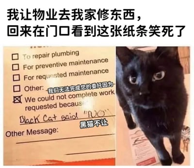 图片上方配有文字“我让物业去我家修东西，回来在门口看到这张纸条笑死了”，下方分为左右两部分。左侧是一张物业维修表单，表单上多个选项框（如“To repair plumbing”“For preventive maintenance”等）均未勾选，仅“我们无法完成您的委托因为”选项被标记，其下方手写英文“Black Cat said 'NO'”，并配有中文注释“黑猫不让”。右侧是一只黑猫的照片，猫咪正直视镜头，表情严肃，似乎在“站岗”。整体通过物业维修单与黑猫照片的结合，幽默展现了宠物阻止维修工作的趣味场景。