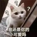 图片中是一只表情疑惑的白色猫咪，头顶有多个问号，下方配有文字‘我还是你的小可爱吗’，整体营造出一种萌态十足又带点委屈的疑问氛围，常用于表达撒娇或不确定对方态度的场景。