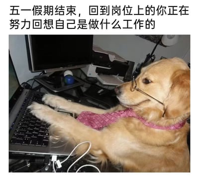 这是一张调侃五一节后返工状态的图文梗图，采用顶部配文加下方实拍图的形式，顶部配文为“五一假期结束，回到岗位上的你正在努力回想自己是做什么工作的”；下方实拍内容为办公室工位场景，摆放有笔记本电脑、台式显示器、打印机等办公设备，一只金毛犬佩戴着眼镜、系着粉色领带，两只前爪搭在笔记本电脑的键盘上，神态茫然地看向电脑方向，模仿人类办公的姿态，形象地表现了人们假期结束回到工作岗位后，因假期综合征暂时无法适应工作节奏、一时记不清自己工作内容的恍惚状态，诙谐又容易引发打工人的共鸣。