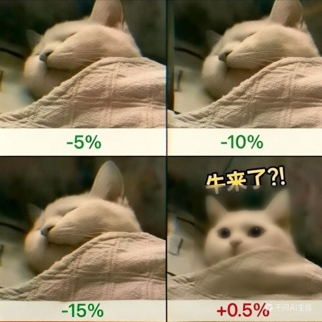 网络流行猫猫表情包素材