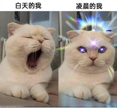 左右对比图，左侧为“白天的我”：一只白色猫咪困倦地张大嘴巴打哈欠，眼睛紧闭，表情慵懒；右侧为“凌晨的我”：同一只猫咪眼神锐利，双眼发出紫色光芒，头部周围有彩虹色光环和闪光特效，展现出昼夜作息状态的强烈反差，幽默地调侃白天疲惫与凌晨精神的对比。