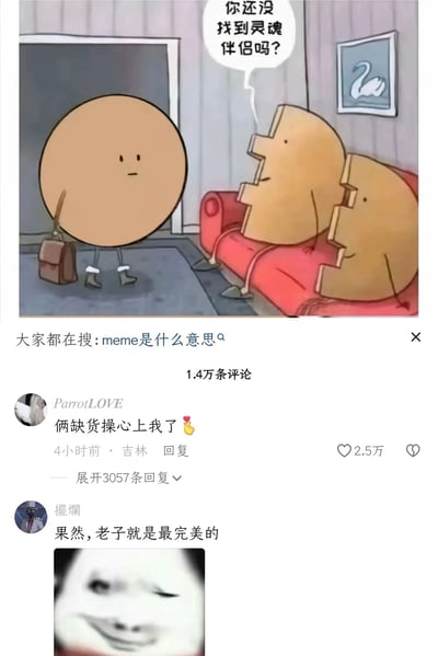 图中展示了一个卡通场景：一个圆形卡通角色手持公文包站在门口，房间内红色沙发上坐着两个拼图形状的卡通角色，其中一个拼图角色用对白气泡问道：“你还没找到灵魂伴侣吗？”。图片下方是社交媒体评论区截图，显示“大家都在搜: meme是什么意思”，并有用户评论“俩缺货操心上我了”（获2.5万赞）和“果然，老子就是最完美的”等互动内容。该梗图通过拼图象征灵魂伴侣，圆形角色无法与拼图匹配，幽默调侃单身状态。