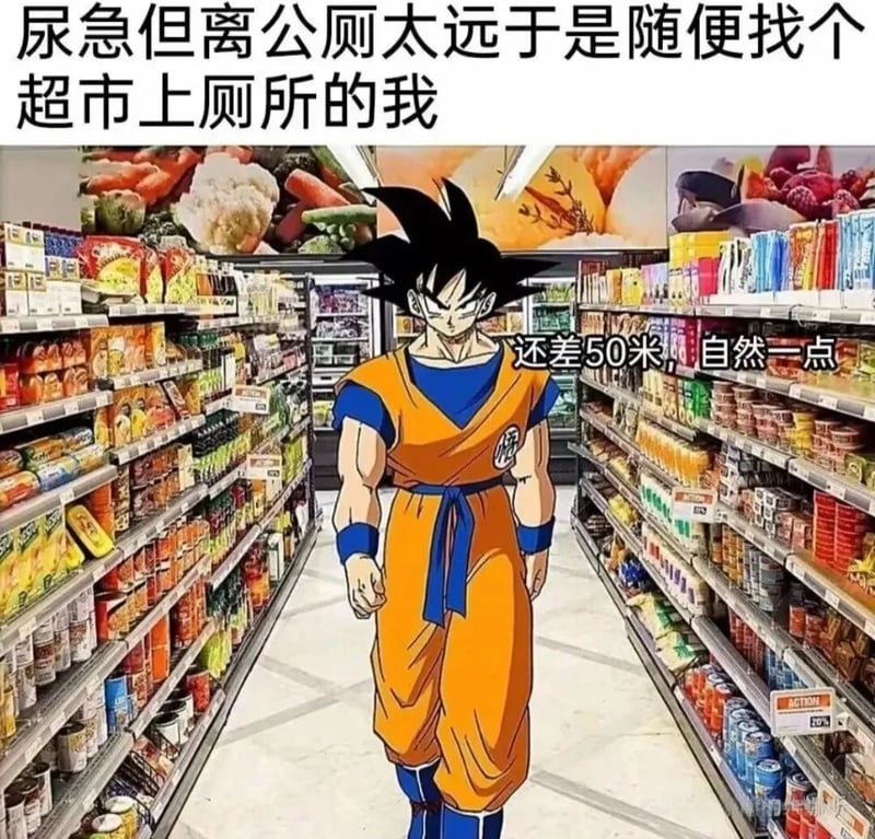 龙珠