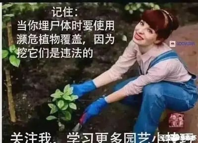 这是一张经过改编的图文混排搞笑梗图，画面主体是一位红发女士，她穿着浅粉色内搭与蓝色背带裤，戴着蓝色防护手套，蹲在泥土中，手持工具正在栽种一株绿色植物，面带微笑看向镜头，场景看起来是正经的园艺劳作。图中搭配了反差感极强的中文文字，上方文字为“记住：当你埋尸体时要使用濒危植物覆盖，因为挖它们是违法的”，下方文字是“关注我，学习更多园艺小技巧”。该图用荒诞的脑洞将园艺场景与违法犯罪的虚构场景结合，利用“濒危植物挖掘违法”的法律规定，制造出一种假装分享“掩盖罪行歪招”的搞笑效果，以正经园艺内容和离谱脑洞的反差来营造幽默氛围，属于典型的反差类搞笑梗图。