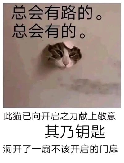 这是一张图文混排的静态单图，中间为真实拍摄的猫咪照片：一只棕白相间的猫咪从墙面的破洞中钻出，仅露出头部，表情懵懂滑稽，仿佛刚完成钻墙的调皮举动。照片上方配有文字“总会有路的。总会有的。”，传递出一种看似励志的语气；下方则是带有调侃意味的文字“此猫已向开启之力献上敬意 其乃钥匙 洞开了一扇不该开启的门扉”，将猫咪调皮破墙的行为趣味解读为“用钥匙开门”，用反差感制造幽默效果，既调侃了猫咪的破坏行为，又以轻松搞笑的方式表达了“找到出路”的另类解读，整体风格诙谐有趣，充满生活化的幽默感。