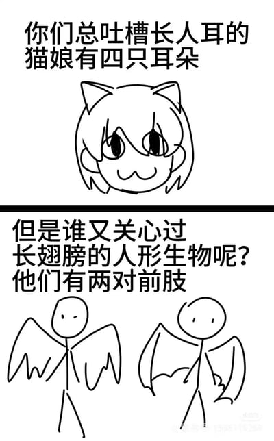 这是一张上下分栏的黑白线稿图文梗图，上半部分展示了一个同时长着猫耳和人耳的猫娘简笔画，配文吐槽大家总是关注猫娘有四只耳朵的设定不合理；下半部分展示了分别长着天使翅膀和恶魔翅膀的两个人形简笔画，配文调侃大家却忽略了这类长翅膀的人形生物拥有两对前肢（手臂+翅膀）的设定不合理，通过对比的方式，吐槽ACGN创作中大家对奇幻生物设定的双标态度，风格搞笑诙谐，是针对二次元设定的趣味吐槽内容。