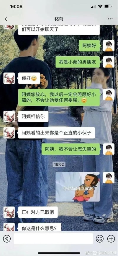 这是一张图文混排的搞笑梗图，背景是一对年轻情侣在户外林荫小道上的照片，男生背身拿着花，女生捂嘴站在对面，前景叠加了微信聊天记录界面，聊天双方是男生和他女友的母亲，本来聊天氛围十分和谐，男生表态会好好照顾女友获得了女方母亲的认可，结果男生不小心手滑发了一张带有粗俗辱骂文字的葫芦娃表情包，直接让对方当场质问，充满了社死的搞笑感。