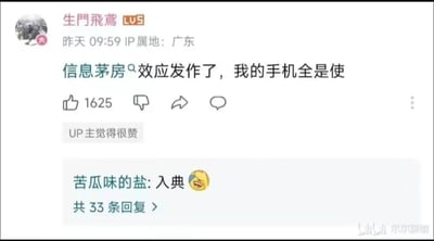 这是一张哔哩哔哩（B站）视频评论区的截图，IP属地为广东的LV5用户“生門飛鳶”于昨天09:59发布评论：“信息茅房效应发作了，我的手机全是使”，该评论获得了1625个点赞，并且得到了视频UP主的认可。下方用户“苦瓜味的盐”回复“入典”并附带笑哭表情，意指这个新创造的“信息茅房效应”梗足够经典，可以被收录进梗典，该回复共有33条后续回复。“信息茅房效应”是用户原创的梗，调侃手机推送的信息如同“茅房”一样无用、冗余，让人不堪其扰。