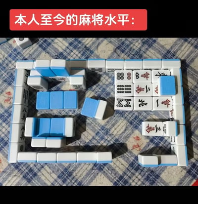 这是一张趣味自嘲梗图，图片顶部设有红色底白色文字条，内容为“本人至今的麻将水平:”，下方在蓝白格纹桌布上，创作者用蓝白麻将牌拼出了汉字“菜”的字形，以此直白地表达自己打麻将的技术很差，属于创意搞笑的玩梗创作。