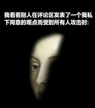 This meme depicts a scene where someone watches another person get attacked in the comment section for an opinion they secretly agree with. The image shows a partial face peeking from darkness, conveying a sense of caution and reluctance to express one's true views publicly. The text above the image explains the context clearly, making it relatable to anyone who has hesitated to voice an unpopular opinion online.