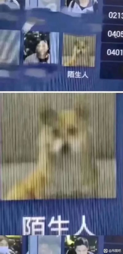 这是一张上下分栏的监控界面截图，上方是监控列表界面，其中一个画面被系统标注为“陌生人”，该画面因竖线遮挡显得模糊不清；下方是这个模糊画面的放大版，能够清晰辨认出被识别为“陌生人”的对象其实是一只猫咪。监控系统的误识别制造出滑稽的反差感，成为一个搞笑的日常乌龙场景。