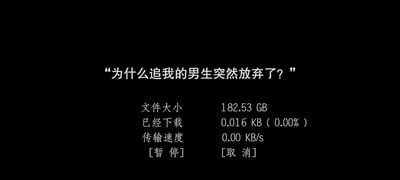 这是一张以黑色为背景的静态图文混排梗图，上方用醒目的白色大字提出女生的疑问“为什么追我的男生突然放弃了？”，下方模仿文件下载的界面样式，列出了“文件大小182.53 GB”“已经下载0.016 KB ( 0.00% )”“传输速度0.00 KB/s”以及[暂停][取消]选项。图中用大文件几乎无法推进下载的场景，类比男生在追求女生的过程中，感觉目标难度极大，自身的付出几乎没有得到任何回应，看不到感情进展的希望，就像下载超大文件却速度为0一样，最终只能选择“暂停”或“取消”这段追求，形象又幽默地解释了男生放弃的原因，引发人们对情感中付出与回应的讨论。