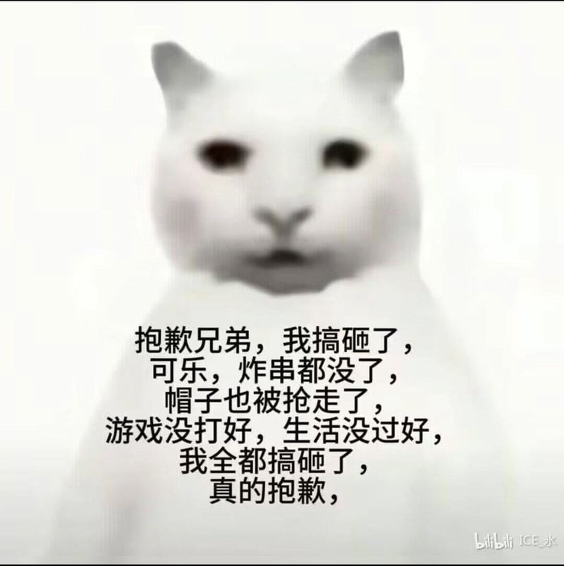 网络流行meme