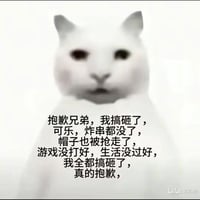网络流行meme