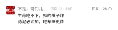 这是一张社交媒体的评论截图，展示了一位来自河南的网友在23小时前发布的评论内容。该网友表示自己无法接受生蒜，认为生蒜的辣味会强烈刺激嗓子，难以忍受；但同时认为在食用荤菜时必须搭配蒜泥，能让荤菜的风味变得更好。这条评论获得了28个点赞，网友的头像是一个带有国旗元素的红色图案头像。