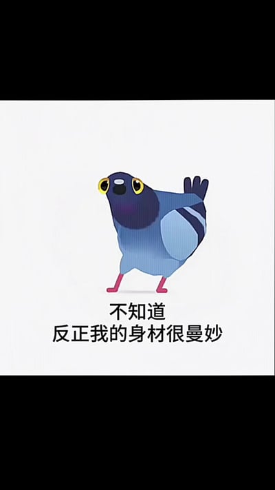 这是一张竖版卡通表情包，整体背景为纯白色，画面中心是一只造型可爱的Q版蓝色鸽子，鸽子长着硕大的黄色圆眼睛、粉红色的短脚，抬着一侧翅膀，神态懵懂又带点小得意，鸽子下方配有两行黑色文字“不知道 反正我的身材很曼妙”，整体风格轻松诙谐，传递出回避问题、自顾自俏皮自夸的搞笑感。