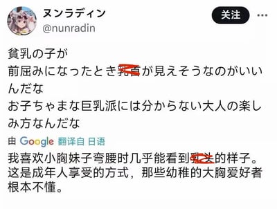 这是一张X平台（原Twitter）的用户推文截图，用户@nunradin以日文发表了个人审美喜好：表示喜欢小胸女生弯腰时几乎能看到乳头的样子，并称这是成年人的专属享受方式，嘲讽大胸爱好者是幼稚的小孩，无法理解这种乐趣。推文下方附带谷歌翻译的中文版本，其中敏感词汇被红色打码处理，截图还包含用户的动漫风格头像、平台关注按钮等界面元素。