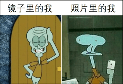 这是一张左右对比图，通过《海绵宝宝》中的角色章鱼哥展现了人们对自我形象的认知差异。左边标题为“镜子里的我”，画面中章鱼哥自信地单手扶头，嘴角上扬露出微笑，表情得意；右边标题为“照片里的我”，画面中的章鱼哥则呈现出扭曲变形的滑稽模样，头部变成不规则形状，身体比例失调。这种夸张的对比幽默地表现了人们在镜子中看到的自己与照片中呈现的自己之间的巨大差距，引发观众共鸣。