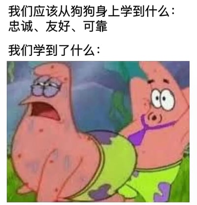 这是一张幽默对比梗图，上方文字提出问题“我们应该从狗狗身上学到什么：忠诚、友好、可靠”，下方紧接着“我们学到了什么：”并配上《海绵宝宝》中派大星的搞笑截图。图中两个派大星形成鲜明对比，左侧戴着眼镜表情严肃认真，右侧则睁大眼睛、咧嘴傻笑还戴着紫色领带，用派大星的“不靠谱”形象幽默地暗示人们往往没能真正学到狗狗的优良品质，反而保留了滑稽搞笑的一面。