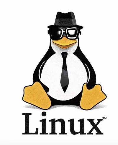 这是Linux操作系统的官方吉祥物Tux的经典形象。图中是一只黑白相间的企鹅，它戴着黑色的礼帽和墨镜，脖子上系着黑色领带，黄色的嘴巴微微上扬，黄色的脚蹼向前伸展，整体呈现出一种酷炫、沉稳的姿态。企鹅下方是黑色粗体的"Linux"字样，并带有™商标符号。整个设计简洁明了，具有很高的辨识度，成为了Linux操作系统的标志性视觉符号。
