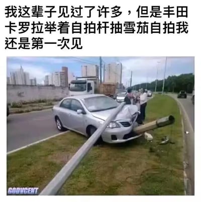 这是一张添加了调侃文字的真实交通事故现场照片，画面中一辆银色丰田卡罗拉轿车撞上路边电线杆，断裂的长电线杆斜插在车头，前端的横向杆从车头伸出，视觉上看起来就像是轿车“举着自拍杆”，横向杆的形态又酷似雪茄。上方配文“我这辈子见过了许多，但是丰田卡罗拉举着自拍杆抽雪茄自拍我还是第一次见”，用拟人化的脑洞将事故现场解读成荒诞的“自拍”场景，制造出强烈的搞笑效果，没有双关、谐音梗等内容。