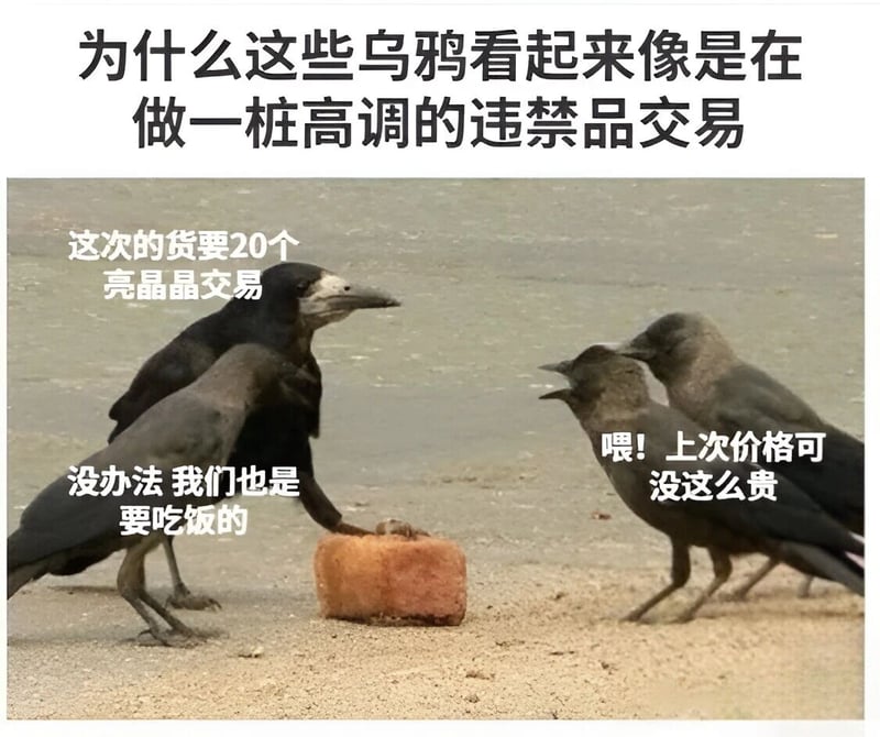 乌鸦