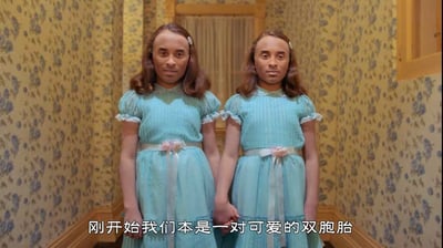 这是一张恶搞经典恐怖片《闪灵》中双胞胎小女孩的二次创作图，图中原本的双胞胎小女孩的脸被替换成了同一位男性的脸，两人穿着同款浅蓝色带花边的连衣裙，手牵手站在布满复古花纹壁纸的走廊里，下方配文“刚开始我们本是一对可爱的双胞胎”，用强烈的视觉反差制造出荒诞搞笑的效果，无谐音梗或双关暗示。