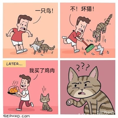 这是一组四格连环卡通漫画，讲述了一个充满误会的搞笑日常故事：第一格中，男子看到猫咪叼着东西跑过来，误以为猫咪抓到了一只活鸟，惊讶地大喊“一只鸟！”；第二格中，男子看清猫咪叼着的是一只死鸟，瞬间愤怒，拿起扫帚驱赶猫咪，骂道“不！坏猫！”；第三格标注“LATER...”，过了一会儿，男子端着一盘热气腾腾的烤鸡肉，开心地跑向猫咪，说道“我买了鸡肉”；第四格中，猫咪一脸疑惑地盯着自己的爪子，完全搞不懂自己为什么会被打骂，又突然得到鸡肉的投喂，满是困惑。漫画的笑点源于男子的反应过度，以及猫咪的茫然困惑，形成了强烈的反差感，营造出荒诞搞笑的氛围。
