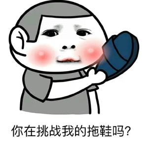 你在挑战我的拖鞋吗？表情包