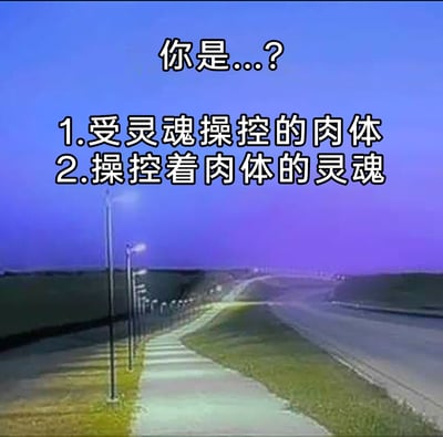 这是一张静态图文混排的网络趣味图，背景是黄昏或夜晚时分的户外道路场景：左侧是排列着路灯的人行道，路灯的光线在地面投下整齐的条状光影，右侧是延伸向远方的开阔公路，整体画面被蓝紫色的色调笼罩，营造出静谧又略带深邃的氛围。图中上方配有引导性提问文字“你是...？”，下方列出两个关于自我身份认知的选项：“1.受灵魂操控的肉体”“2.操控着肉体的灵魂”，以哲学选择题的形式，引发观看者对自我存在本质的思考，风格脑洞十足又充满思辨性。