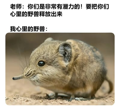 图片上方是老师鼓励的话语：“你们是非常有潜力的！要把你们心里的野兽释放出来”，下方配有一张小鼩鼱的照片，这只小动物有着长长的鼻子、圆溜溜的眼睛和毛茸茸的身体，显得十分可爱。通过将老师期望的“强大野兽”与实际“呆萌小动物”形成幽默反差，表达了一种自嘲式的轻松搞笑效果。