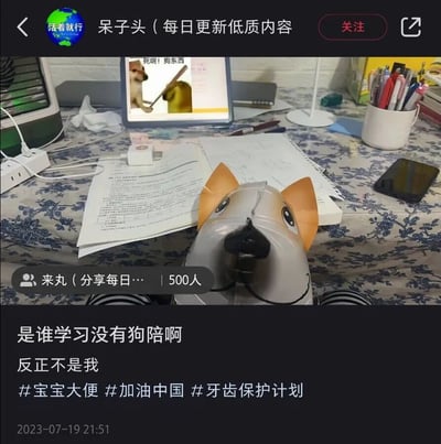 这是一张社交媒体动态的截图，展示了用户的学习日常。画面主体是一个杂乱但充满生活感的学习桌面，上面摆放着学习资料、文具、充电设备等，最显眼的是一个用易拉罐手工制作的狗狗道具，“陪伴”用户学习；平板屏幕上还显示着一张愤怒狗狗持棍的趣味图片，配文“死啊！狗东西”。动态配文幽默调侃“是谁学习没有狗陪啊 反正不是我”，还附带了三个和内容关联较弱的搞笑标签，整体风格轻松搞笑，充满生活趣味，发布时间为2023年7月19日21:51，发布者账号名为“呆子头（每日更新低质内容）”，还附带了一个500人的群聊入口。