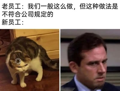这是一张聚焦职场场景的搞笑梗图，采用左右多图拼接+上方配文的图文混排形式。上方配文为老员工对新员工的指导：“我们一般这么做，但这种做法是不符合公司规定的”，下方左侧是一只头上被添加了加载转圈特效的猫咪，它低头站在桌面上，表情纠结无奈，姿态局促；右侧是美剧《办公室》（美国版）里的角色迈克尔·斯科特，他眉头紧皱、表情凝重为难，侧头看向一旁。整张图精准地刻画了职场新人在面对老员工传授“潜规则”式的违规操作时，内心既想遵守公司规定，又不愿违背老员工指导的两难与纠结，生动展现了职场中明规则与潜规则冲突时新人的不知所措。