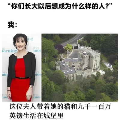 图片上方有文字"你们长大以后想成为什么样的人?"，中间左侧是一位穿着红色连衣裙搭配黑色外套的女士微笑站立，右侧是一座被绿树环绕的城堡航拍图，下方文字写着"这位夫人带着她的猫和九千一百万英镑生活在城堡里"。通过对比常见的童年理想提问与现实的财富向往，形成幽默效果。