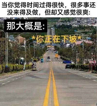 这是一张中文趣味双关梗图，属于静态单图，画面主体是一条向远方延伸、明显向下倾斜的下坡公路，公路两侧分布着行道树、民居、行驶和停放的车辆，远处可见城镇与桥梁。图片上方配文“当你觉得时间过得很快，很多事还没来得及做，但却又感觉很爽:那大概是:”，在公路区域用黄色醒目字体标注“*你正在下坡*”，利用文字双关玩梗：字面意思对应图中物理下坡的公路，深层含义调侃当人生走下坡路时，虽然虚度时光、很多事没完成，但整个人会处于松弛舒服的状态，表意十分有趣。