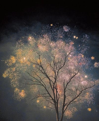 夜晚的深色天空中，绚烂的烟花正在绽放，呈现出金色、粉色和白色的光芒，如同无数闪烁的星辰。前景是一棵没有叶子的枯树，其纤细的枝干向上伸展，与后方烟花的繁茂形成鲜明对比。烟花的光芒透过树枝，仿佛为枯树披上了一层璀璨的外衣，营造出静谧而壮丽的视觉效果。
