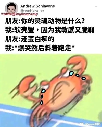 这是一张图文结合的搞笑自嘲梗图，上方是一段对话文字：朋友询问“我”的灵魂动物是什么，“我”将自己比作软壳蟹，以此自嘲自己敏感又脆弱的性格，朋友却直白回应“还蛮白痴的”，让“我”瞬间情绪崩溃，表现为爆哭着斜着跑走。下方的卡通插画完美还原了这个场景，一只流着眼泪的螃蟹，正斜着身体在类似跑道的区域奔跑，利用螃蟹天生横着走的生理特性，精准呼应了“斜着跑走”的描述，既搞笑又精准地戳中了敏感脆弱人群在被他人否定后，委屈又无助的情绪，用幽默的方式放大了这种细腻的情绪感受，容易引发同类人群的共鸣。