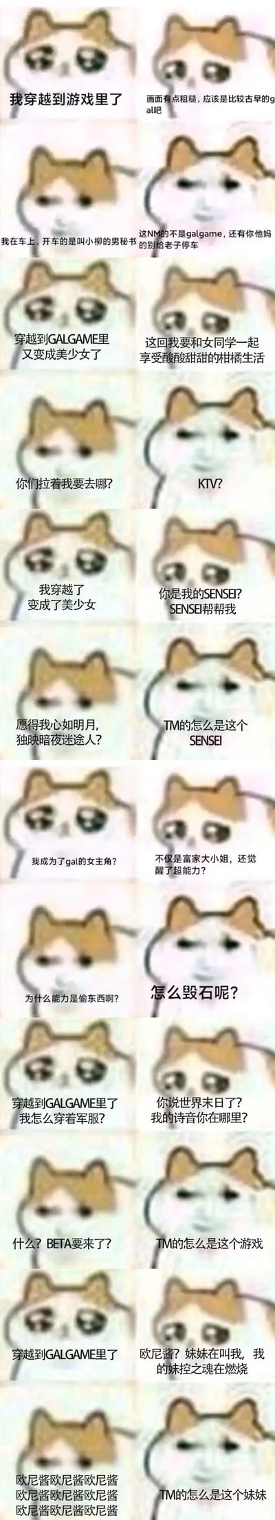 这是一组用「mur猫」表情包制作的连环吐槽梗图，共8组+4组延伸对话，模拟了多次穿越进GALGAME的「梦想vs现实」搞笑反差：
1. 以为穿越进复古GAL，结果是踩中奇怪剧情的雷区；
2. 想当美少女过柑橘系校园生活，结果被拉去KTV；
3. 变美少女找老师求助，结果遇到不想面对的老师；
4. 成富家大小姐觉醒超能力，结果能力是偷东西；
5. 穿进GAL穿军服找诗音，结果是要打BETA的《Muv-Luv》地狱；
6. 想当妹控宠妹妹，结果是被妹妹无限循环叫欧尼酱的折磨场景。
每一组都用mur猫的期待脸和嫌弃脸形成强烈反差，精准吐槽GALGAME里的各种「雷人展开」，搞笑拉满。