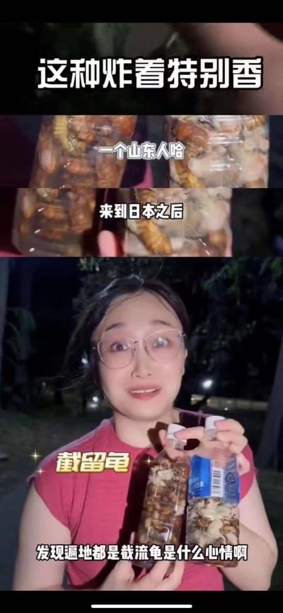 视频截图展示一位山东人在日本手持两瓶装满截留龟的玻璃瓶，配文描述其发现日本遍地都是截留龟的惊喜心情，并提到这种食材炸着特别香。画面中人物表情惊喜，背景为夜晚户外场景，整体呈现生活分享类内容，突出地方美食文化差异。