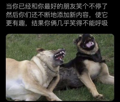 这是一张图文结合的搞笑梗图，上方配文描述了和最好的朋友相处时，从最初笑个不停，到不断延伸新的笑点内容，最终两人笑到几乎无法呼吸的场景；下方图片里两只狗狗躺在草地上，仰头大张着嘴、露出牙齿的神态，完美还原了这种笑到失控、上气不接下气的状态，生动形象地展现了好友之间毫无顾忌、开怀大笑的欢乐日常，极易引发有类似经历的人的共鸣。
